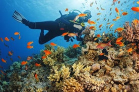 Half Day Scuba Diving Activity in Alanya