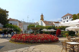 Estepona Private Walking Tour