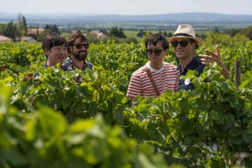 From Avignon: Luberon and Chateauneuf-du-Pape Full-Day Tour
