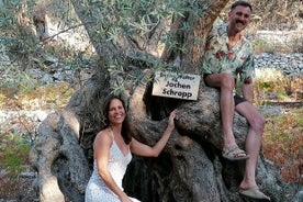 Rethymnon Olive Tree Sponsorship Beskyt og Plant Tour