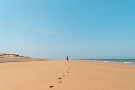 Приложение Norfolk Tour, Игра Скрытые Драгоценности и Большая Викторина Великобритании (7-дневный пропуск) Великобритания