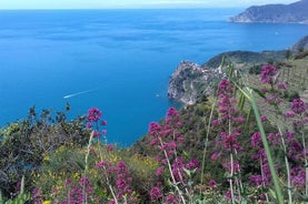 Cinque Terre ógleymanleg gönguupplifun