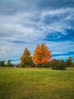 Zurich parks