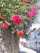 La casa del piano - Beautiful 18th century house with courtyard & pool