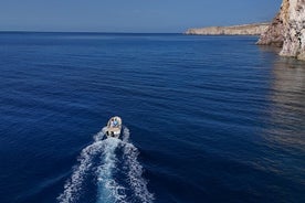 Customizable Full Day Private Boat Cruise with Skipper in Milos