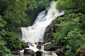 Torc Berg- und Wasserfallwanderung. Killarney. Privat geführte Gruppe. 3½ Stunden.