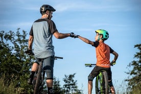 Alquiler de bicicletas eléctricas de 12 horas en el lago Bled