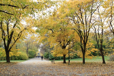 Photo of Autumn in the Sea garden of Varna (Bulgaria).