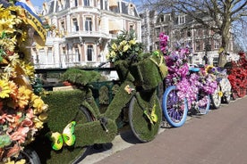 Amsterdam City Walking Tour with a Canal Cruise