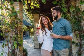 Private Weinbergtour mit Abendessen unter den Sternen in Karnas