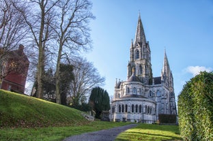 Saint Fin Barre's Cathedral