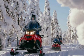 Levi: 2 Hour Snowmobile Safari to the Levi Nature