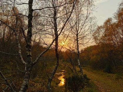 photo of view of Norway Natur Sahara Sandnessjøen Sun Forest Mirror of The Sun