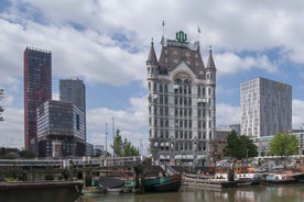 Rotterdam: Private Tour with a Local