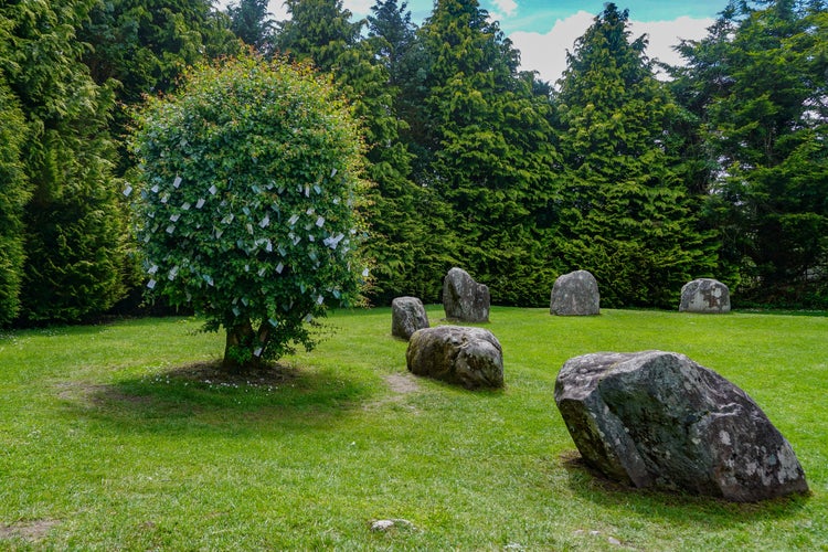 Photo of Kenmare, Co. Kerry, Ireland: The Hawthorn Fairy Tree at the Bronze-age Kenmare stone circle. People attach prayers or gifts to the branches, hoping to receive healing or good luck.