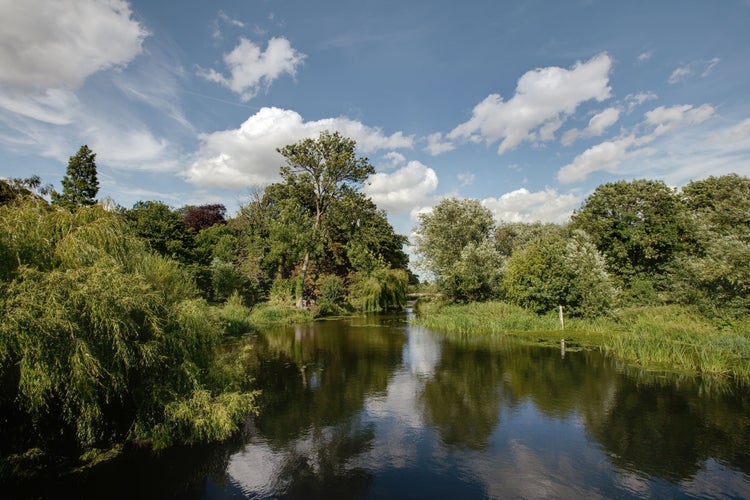 Grantchester Meadows.jpg