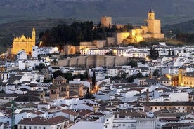 Einkaferðir frá Malaga til Antequera og Dolmens fyrir allt að 8 manns