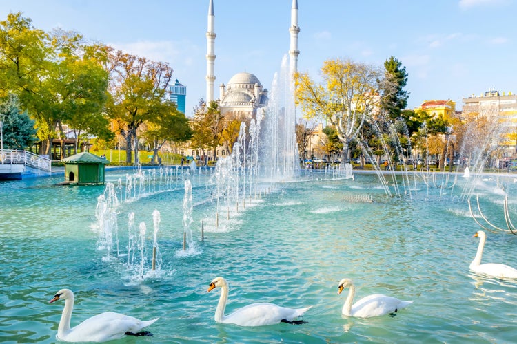 Photo of white swans swims in blue lake with fountains and mosque in the background in Konya, Turkey.