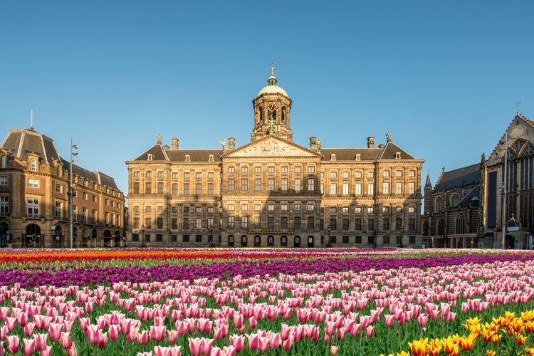 Royal Palace of Amsterdam 2.jpg