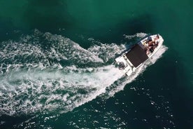 Excursion privée d'une demi-journée en hors-bord vers les îles voisines de Zadar