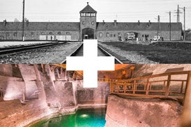 Krakow: Auschwitz-Birkenau og Salt Mines leiðsögðu ferð