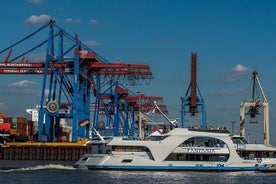 Tour de 2 horas por el puerto de Hamburgo en el hermoso Elba