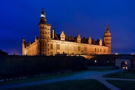 Tour Privato del Castello di Amleto da Copenaghen