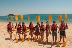 Kajakfahren in Arrábida und Schnorcheln am wilden Strand/Abholung möglich