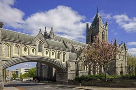 Christ Church Cathedral Entrance Ticket & Self-Guided Tour