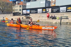 Kayak Tour in Copenhagen Harbor - June, July and August