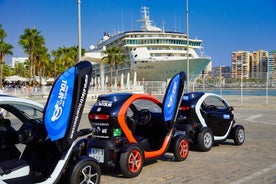 An exclusive tour between sea and mountains by electric car