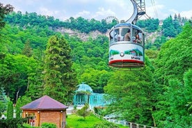 Borjomi National Park Heldags privat rundtur från Tbilisi