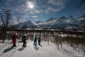 Star Walk Night Snowshoeing Tour from Tromso