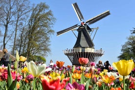 Brussel: Heilsdagsleiðsögn um Holland með Keukenhof og Vindmyllum