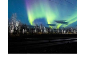 Kiruna: Northern Lights Tour with Stejk Street Food Dinner