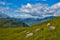 Photo of view from Torc Mountain, Ireland.