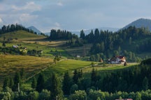 gistiheimili í Vatra Dornei