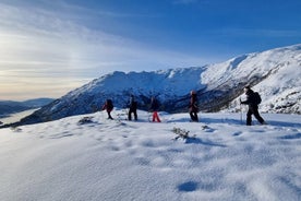 Caminatas en raquetas de nieve Bergen - Noruega Guías de montaña