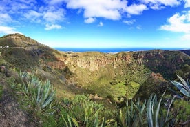 Gran Canaria topper full dagstur fra Las Palmas