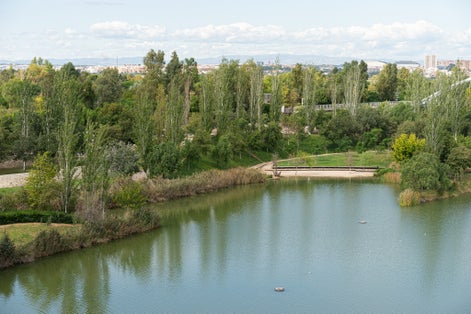 Photo of Beautiful green urban park. Public park with green grass fields, trees, waterways and pond. Parque de Cabecera, Valencia, Spain .