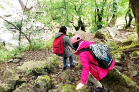 Tour escursionistico al massiccio del Vitosha e alle cascate di Boyana con partenza da Sofia