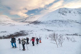 Caminata en raquetas de nieve en la Isla de la Ballena, en Tromso