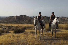 Almeria: Hestaferð um Tabernas-eyðimörkina