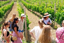 Durres Countryside Wine & Food Tasting Tour