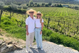 Douro Valley fantastiske vinturer