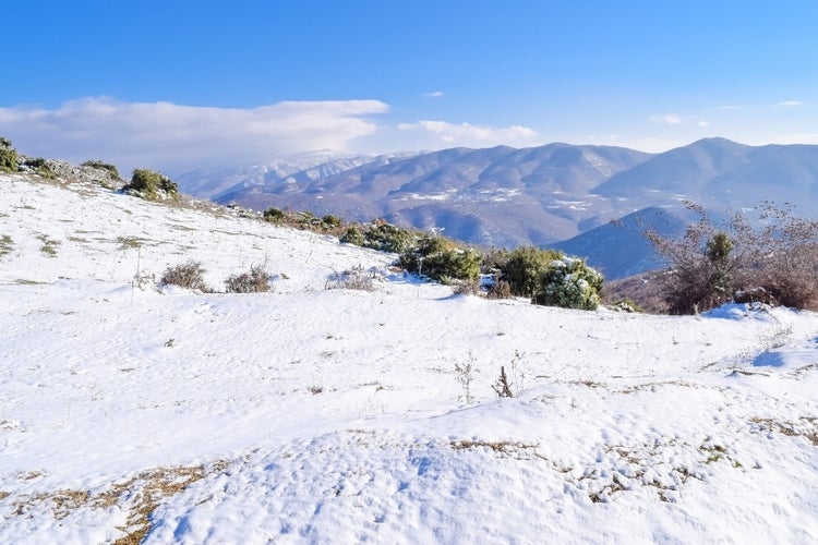 7 February Weather in North Macedonia.jpg