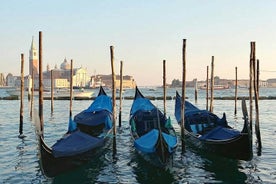 Classic Venice Full Day Tour from Lake Garda