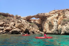 Guided kayaking trip along east Cape Greko