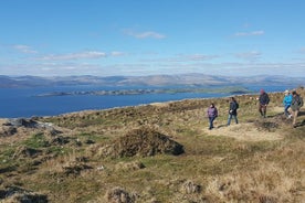 WAW Towns and Peninsulas Private Tour from Bantry