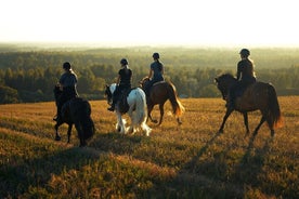 Horseback Riding in the Landscape